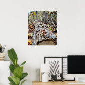 Poster Bûche d'arbre Balanide (Bureau à domicile)