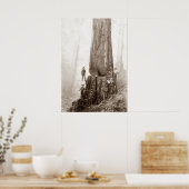 Poster Bûcherons américains vers 1880 (Cuisine)