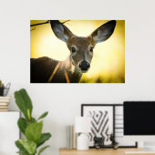 Poster Buck (Bureau à domicile)