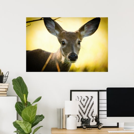 Poster Buck (Bureau à domicile)