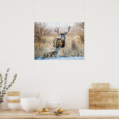 Poster Buck Couple | Mule Deer (Cuisine)