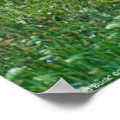 Poster Buck de lit (Coin)