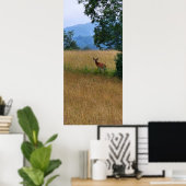 Poster Buck debout dans un champ (Bureau à domicile)