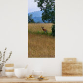 Poster Buck debout dans un champ (Cuisine)