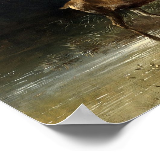 Poster Buck & Doe Deer In Forest Art (Coin)