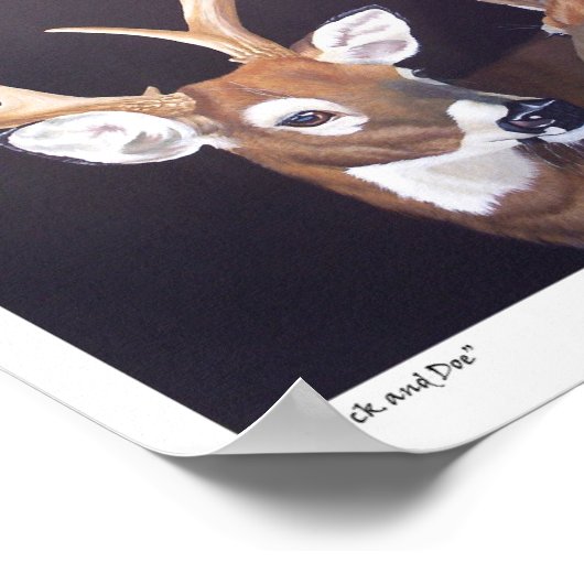 Poster Buck et Doe Deer (Coin)