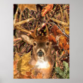 Poster Buck in Fall Camo White Tail Deer (Devant)
