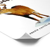 Poster Buck Off ! Publier... (Coin)