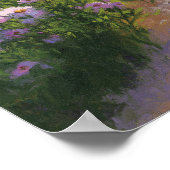 Poster Buckhorn Aster Show (Coin)