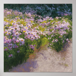 Poster Buckhorn Aster Show