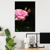 Poster Bud d'un rose (Bureau à domicile)