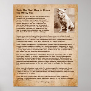 Poster Bud, premier chien à traverser les États-Unis en v