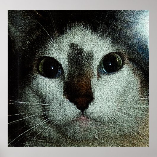 Poster Bud Sérieux (Devant)