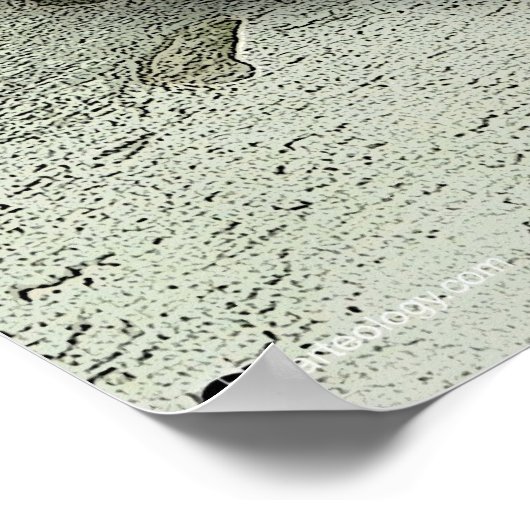 POSTER BUDDHA (Coin)