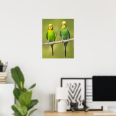 Poster Budgerigars perchés sur une corde (Bureau à domicile)