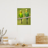 Poster Budgerigars perchés sur une corde (Cuisine)