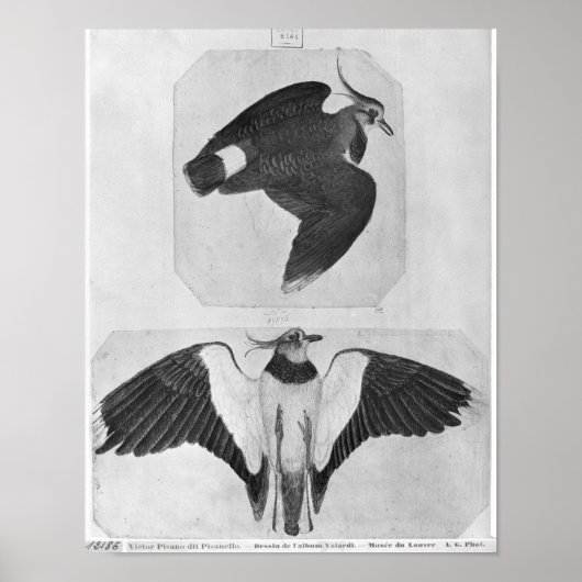 Poster Budgets, de l'Album Vallardi (Devant)