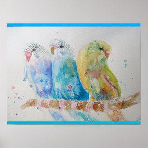 Poster Budgie Aquarelle Peinture d'oiseau Budgies Aqua Tu