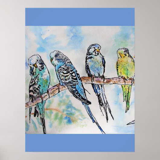 Poster Budgie Budgies Peinture aquarelle Oiseau (Devant)