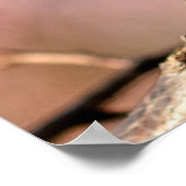 Poster Buds De Fleurs Japonaises D'Apricot (Coin)