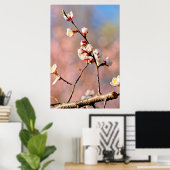 Poster Buds De Fleurs Japonaises D'Apricot (Bureau à domicile)