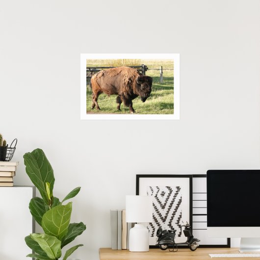 Poster Buffalo (Bureau à domicile)