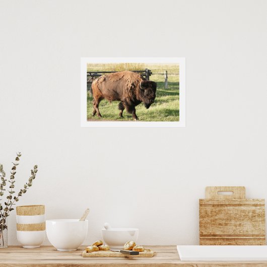 Poster Buffalo (Cuisine)