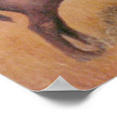 Poster Buffalo (Coin)