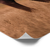 Poster Buffalo américain (Coin)