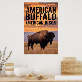 Poster Buffalo américain (Cuisine)