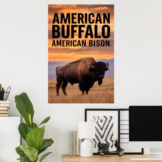 Poster Buffalo américain (Bureau à domicile)