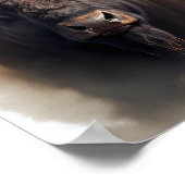 Poster Buffalo américain (Coin)