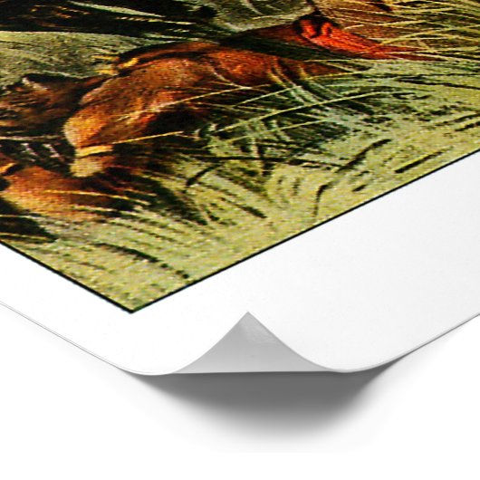 Poster Buffalo Bill - Imprimer (Coin)