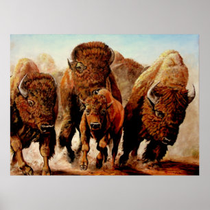 Poster Buffalo "En Course"