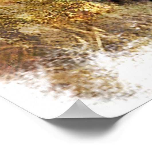 Poster Buffalo Grunge (Coin)