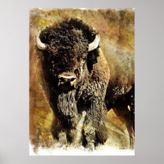 Poster Buffalo Grunge