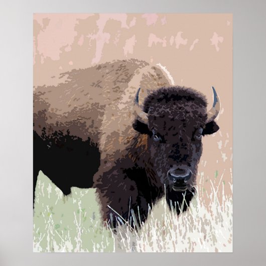 Poster Buffle / Bison (Devant)