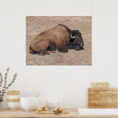 Poster Buffle d'eau domestique asiatique (Cuisine)