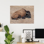 Poster Buffle d'eau domestique asiatique (Bureau à domicile)