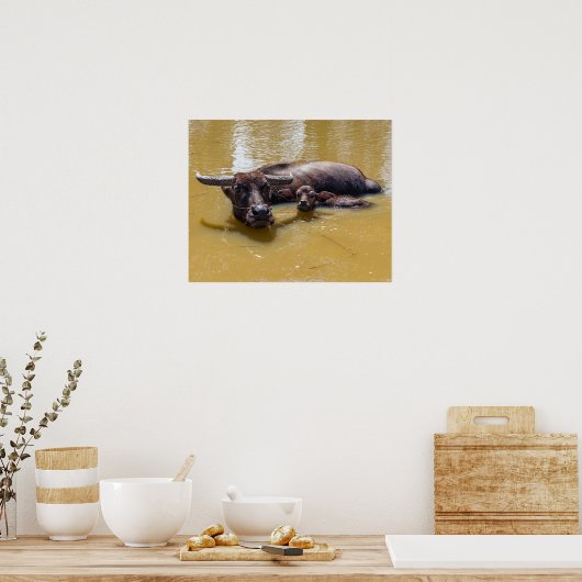 Poster Buffle d'eau et veau (Cuisine)