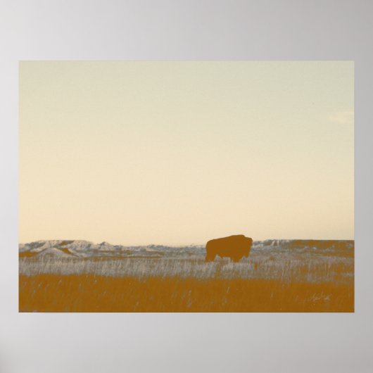 Poster Buffle Lone Rustique Photo Des Badlands (Devant)