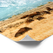 Poster Buffle sous les montagnes du Grand Teton (Coin)