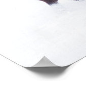 Poster Buffles (Coin)