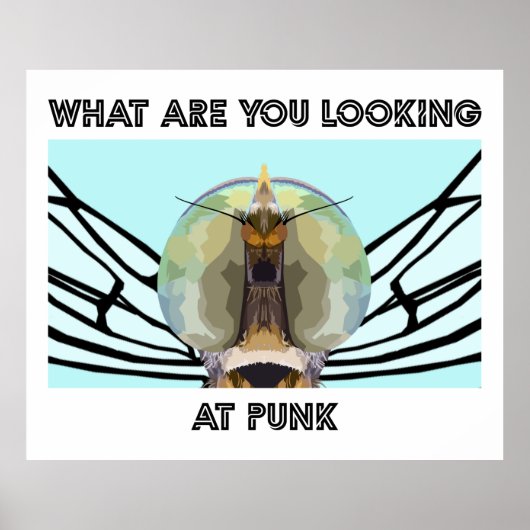 POSTER BUG 1 (Devant)