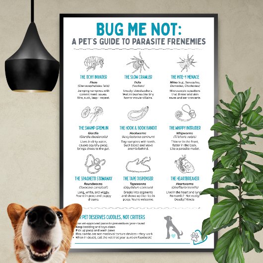 Poster Bug Me Not - Le guide de l'animal de compagnie sur