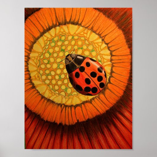 Poster Bug Rouge Sur Une Zinnia (Devant)
