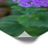 Poster Bug secret sur un Plante secret (Coin)