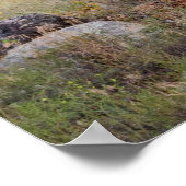Poster Buglage d'élans dans le parc national des Rocheuse (Coin)