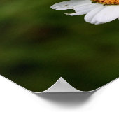 Poster Bugs ! (Coin)