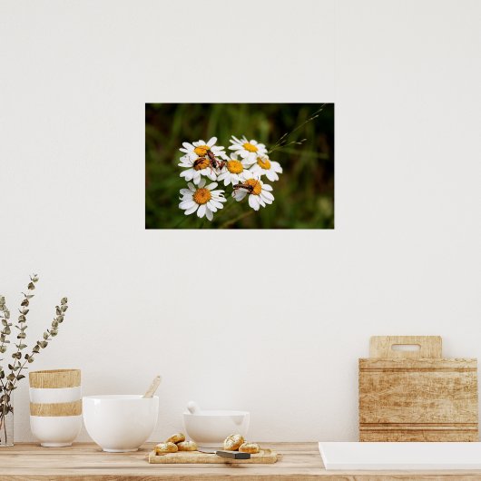 Poster Bugs ! (Cuisine)